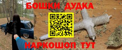 индика Обь