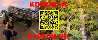 гидропоника Обнинск